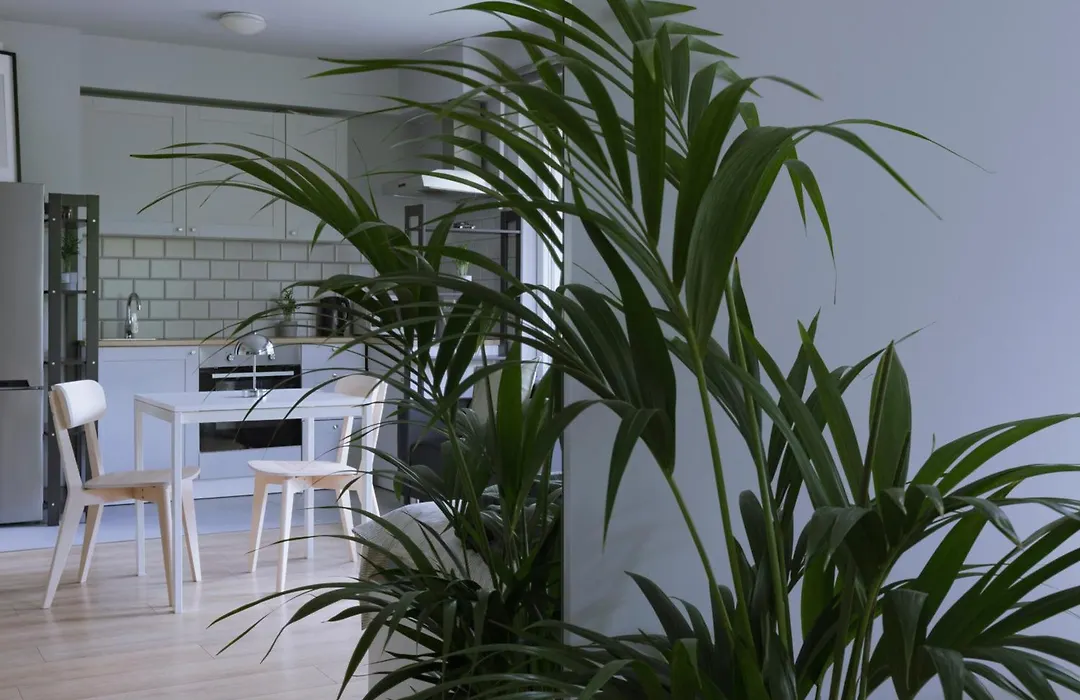 Krowodrza Apartment's-1